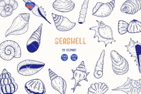 22 Blue Line Art Seashell Clipart for Design